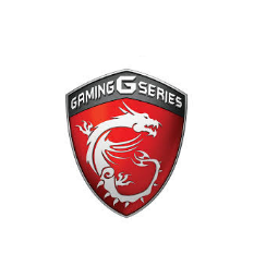 MSI