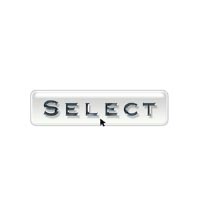 Select Publisher Services