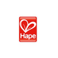 Hape Toys